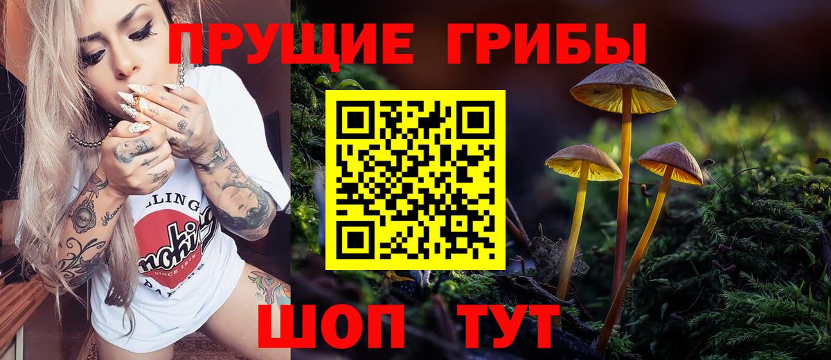 Галлюциногенные грибы мицелий  Вход с VPN  Галлюциногенные грибы мицелий  что такое наркотик  Североуральск 