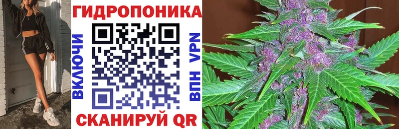дарнет шоп  Североуральск  Бошки Шишки сатива 